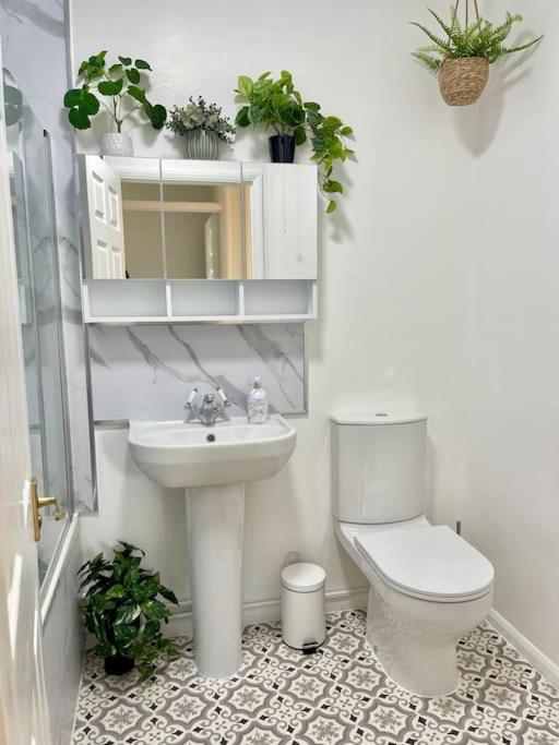 Luxury Spacious 2 Bed Apartment Shilton  Exterior foto